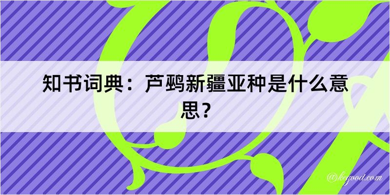 知书词典：芦鹀新疆亚种是什么意思？