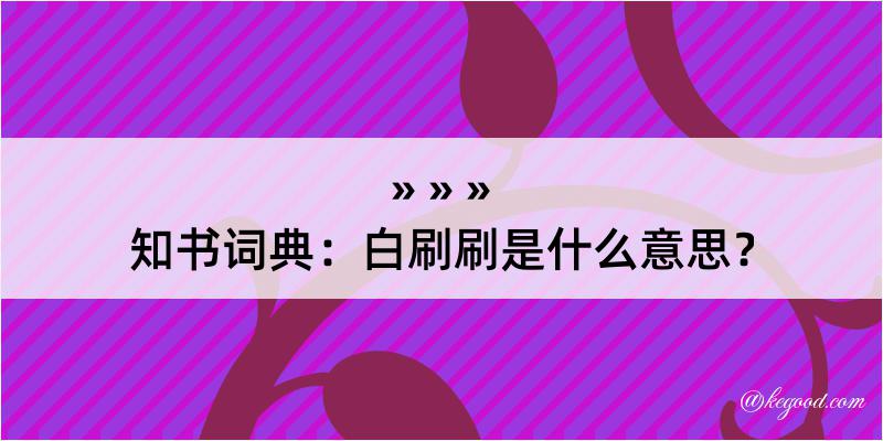 知书词典：白刷刷是什么意思？