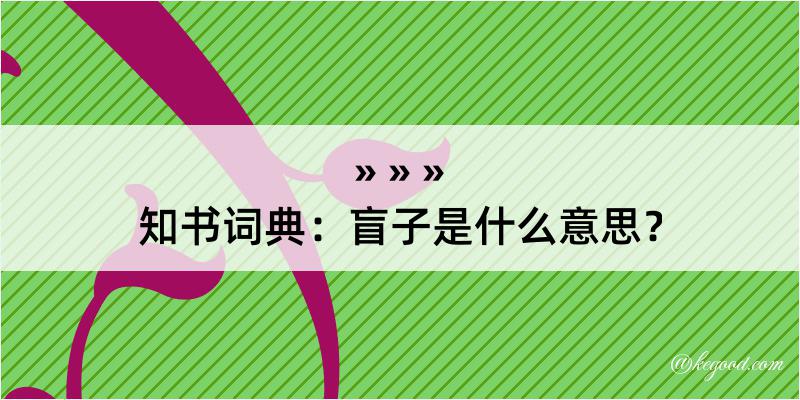 知书词典：盲子是什么意思？