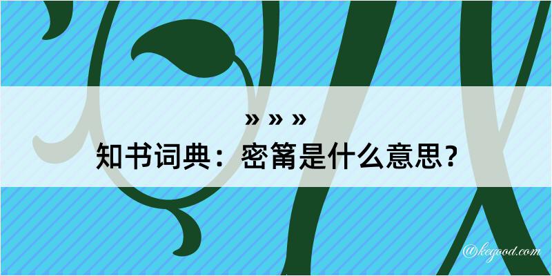 知书词典：密筩是什么意思？