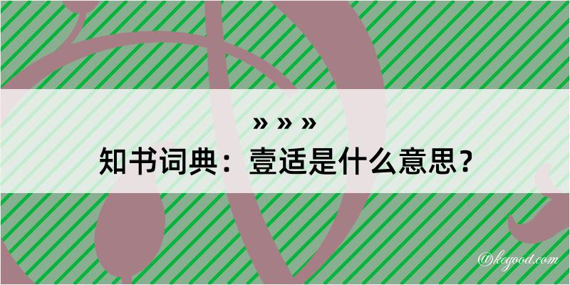 知书词典：壹适是什么意思？