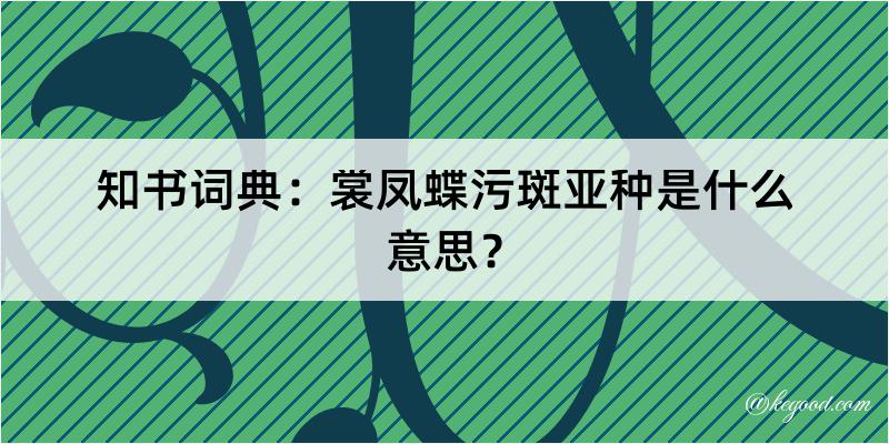 知书词典：裳凤蝶污斑亚种是什么意思？