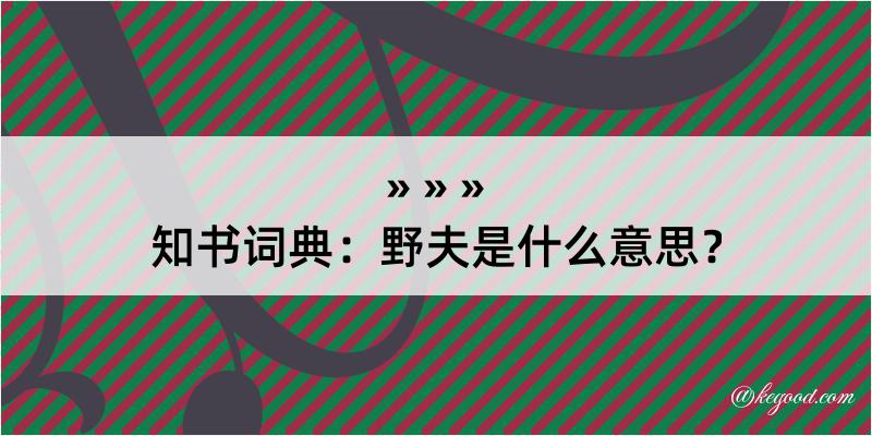 知书词典：野夫是什么意思？