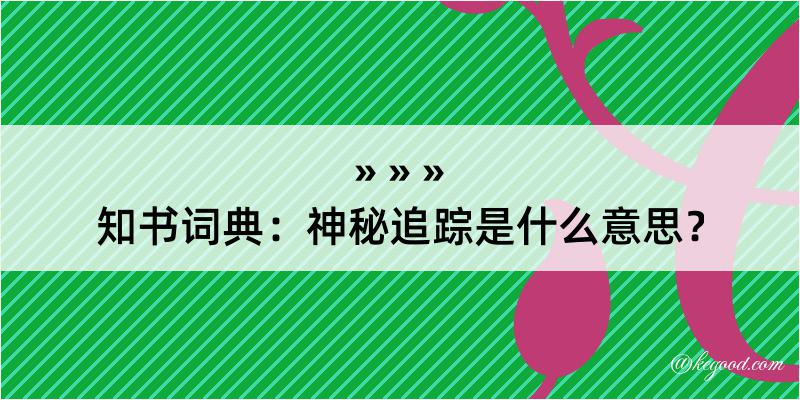 知书词典：神秘追踪是什么意思？