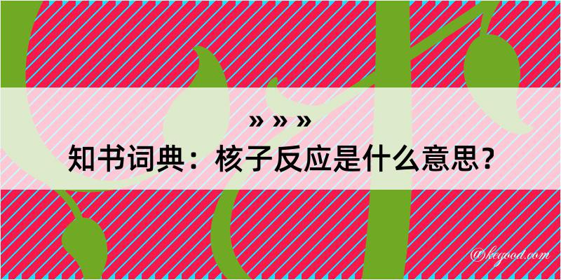 知书词典：核子反应是什么意思？