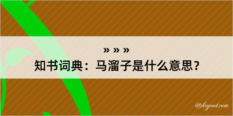 知书词典：马溜子是什么意思？