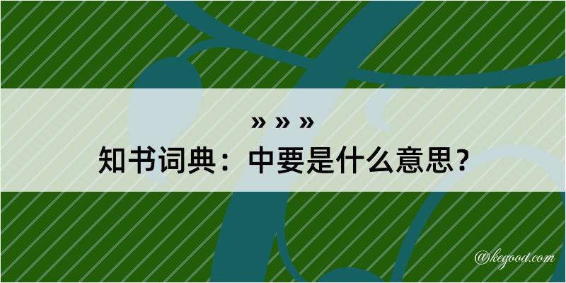 知书词典：中要是什么意思？