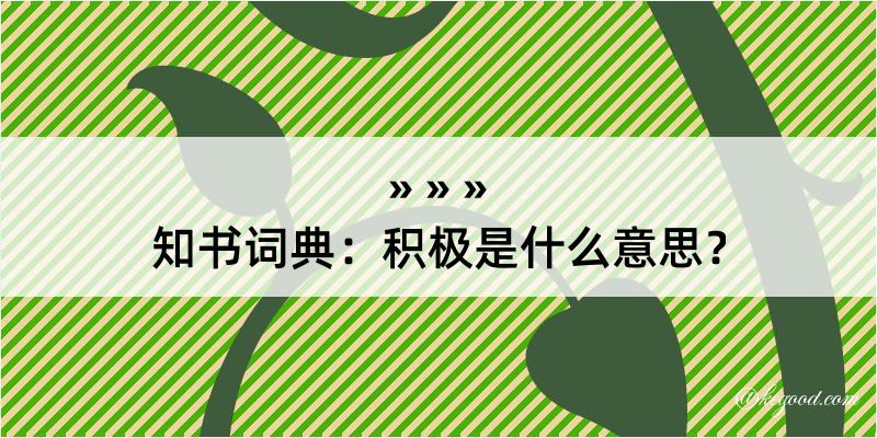 知书词典：积极是什么意思？