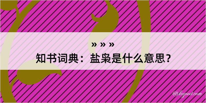 知书词典：盐枭是什么意思？