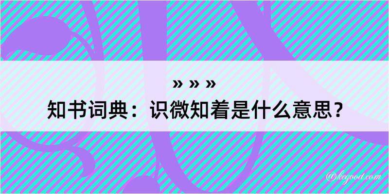 知书词典：识微知着是什么意思？