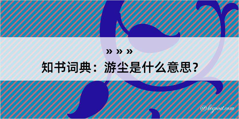 知书词典：游尘是什么意思？