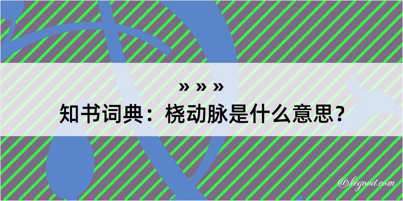 知书词典：桡动脉是什么意思？