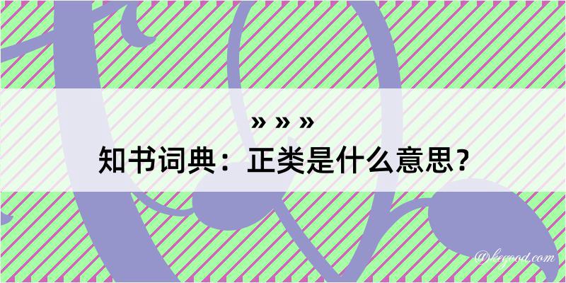 知书词典：正类是什么意思？