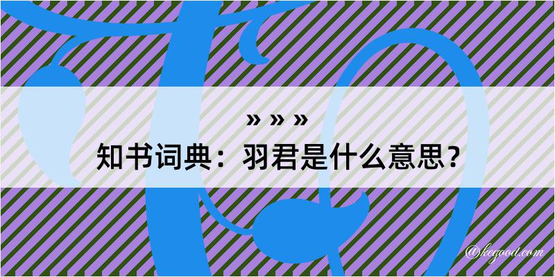 知书词典：羽君是什么意思？