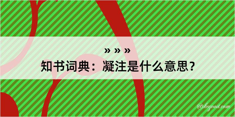 知书词典：凝注是什么意思？