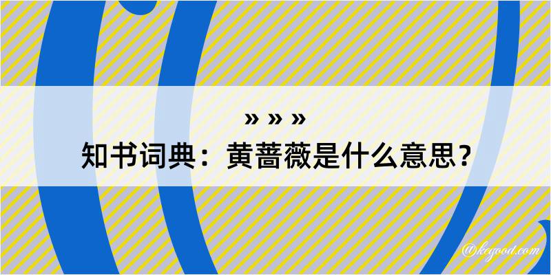 知书词典：黄蔷薇是什么意思？