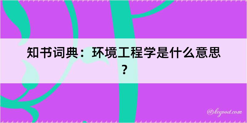 知书词典：环境工程学是什么意思？