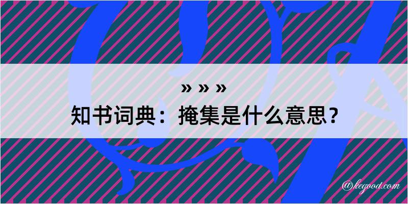 知书词典：掩集是什么意思？