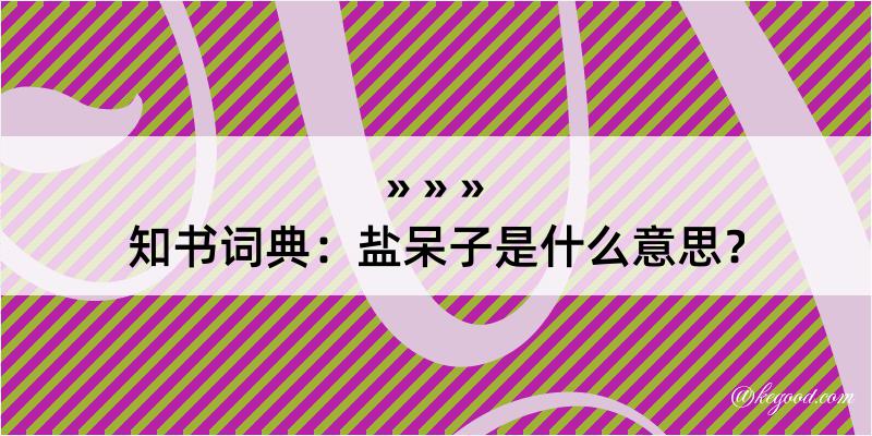 知书词典：盐呆子是什么意思？