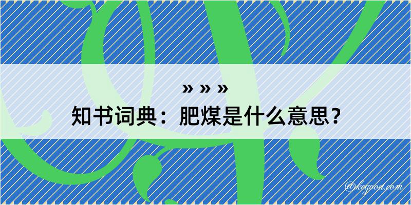 知书词典：肥煤是什么意思？