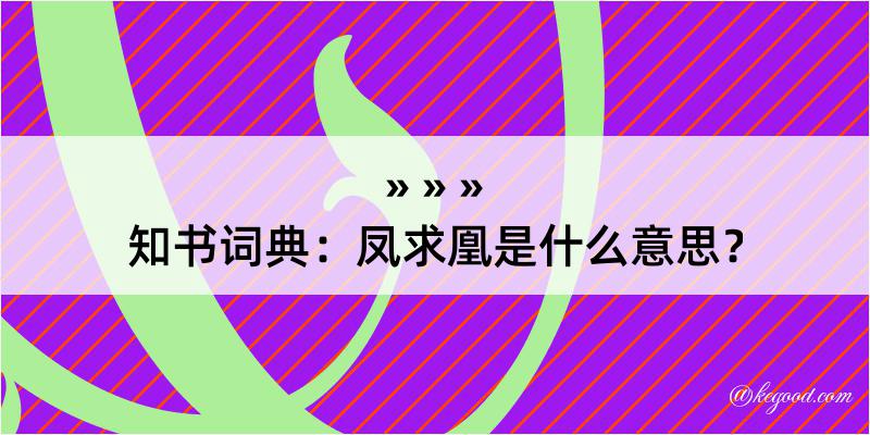 知书词典：凤求凰是什么意思？