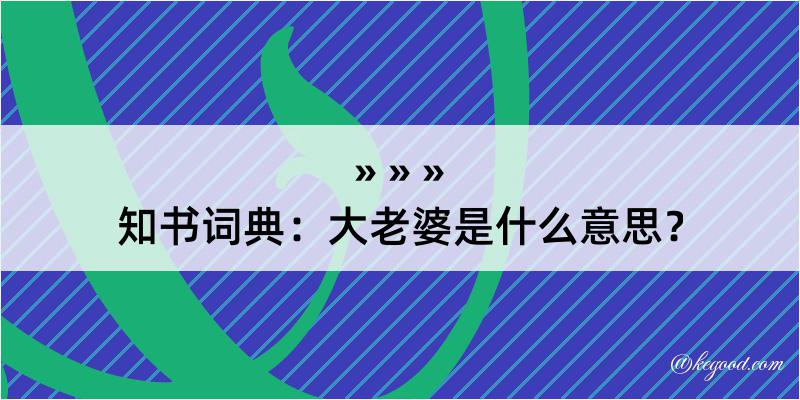 知书词典：大老婆是什么意思？