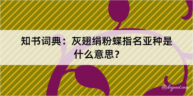 知书词典：灰翅绢粉蝶指名亚种是什么意思？