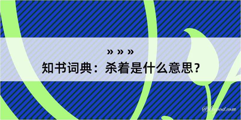 知书词典：杀着是什么意思？