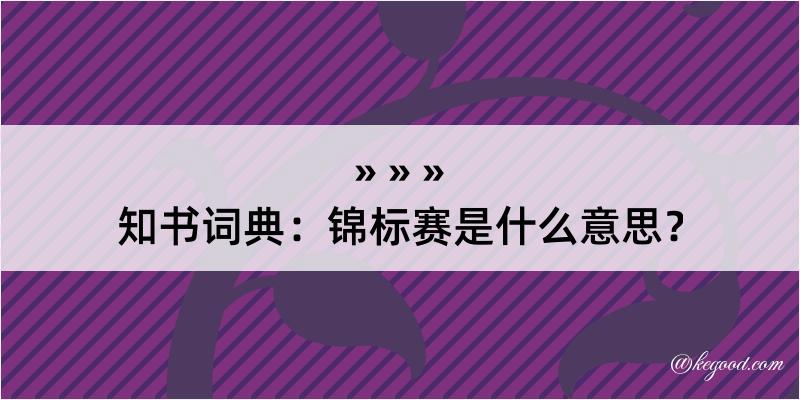 知书词典：锦标赛是什么意思？