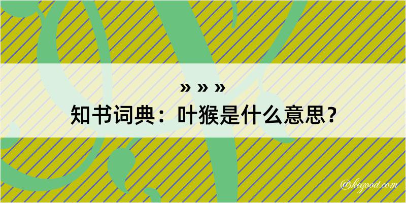 知书词典：叶猴是什么意思？