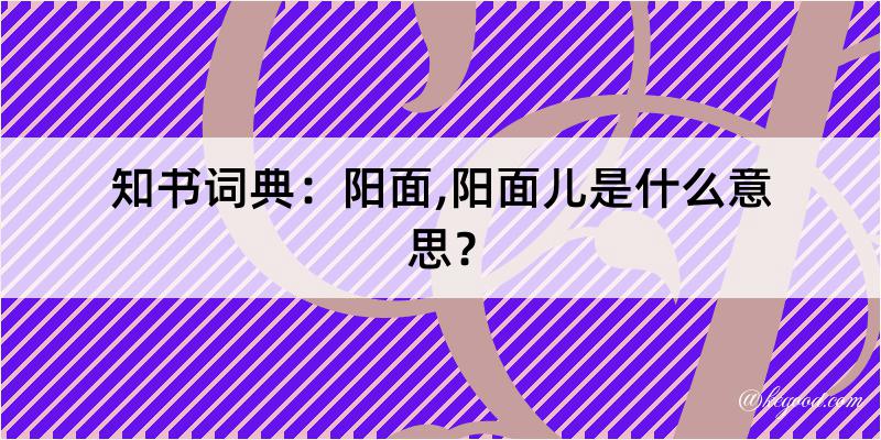 知书词典：阳面,阳面儿是什么意思？