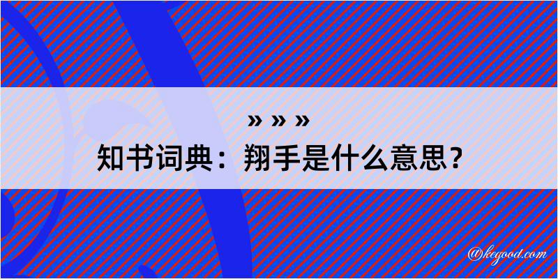 知书词典：翔手是什么意思？