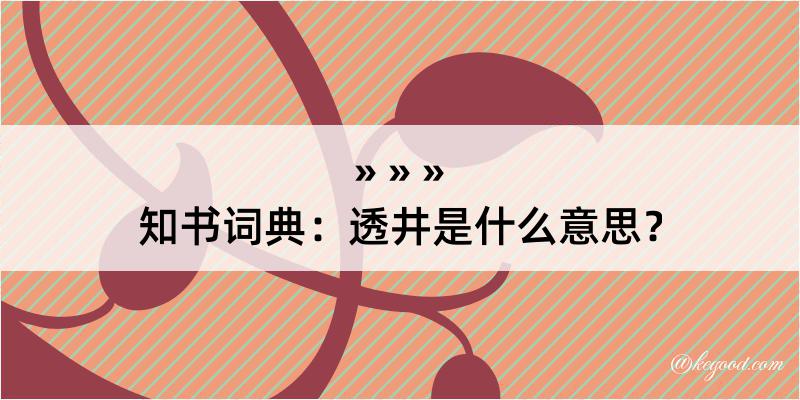 知书词典：透井是什么意思？