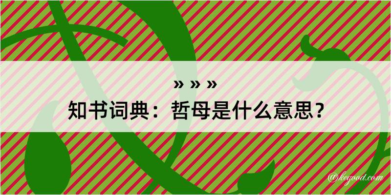 知书词典：哲母是什么意思？