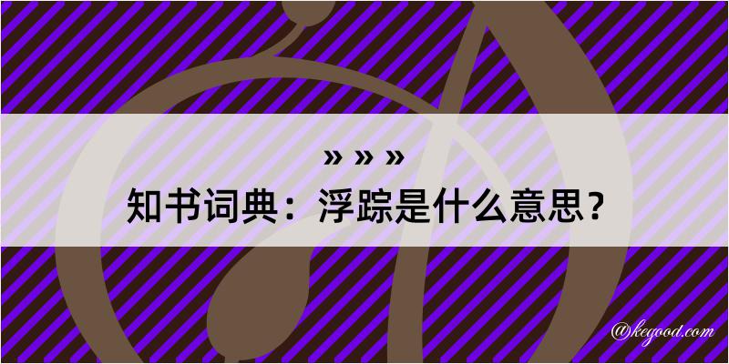 知书词典：浮踪是什么意思？