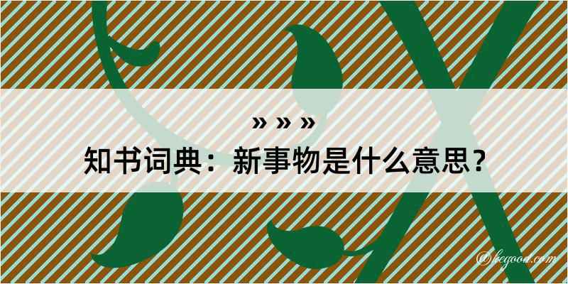 知书词典：新事物是什么意思？