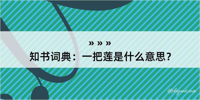 知书词典：一把莲是什么意思？