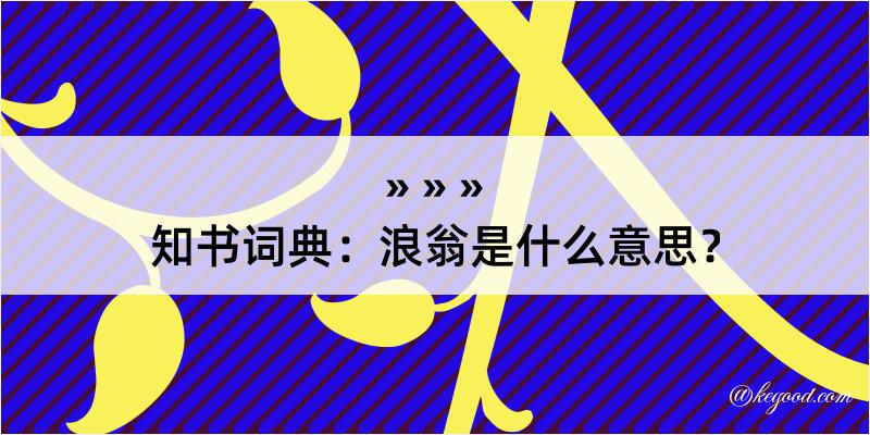 知书词典：浪翁是什么意思？