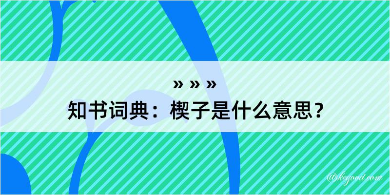 知书词典：楔子是什么意思？