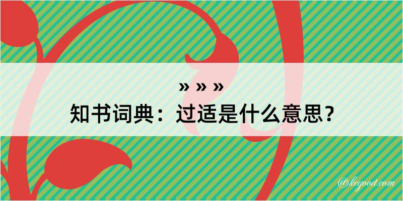 知书词典：过适是什么意思？