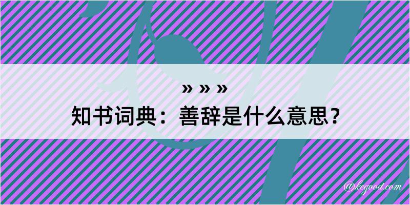 知书词典：善辞是什么意思？