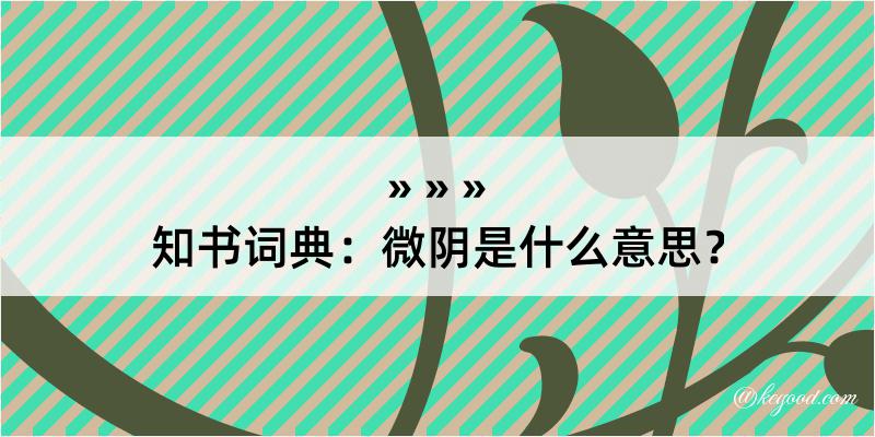 知书词典：微阴是什么意思？