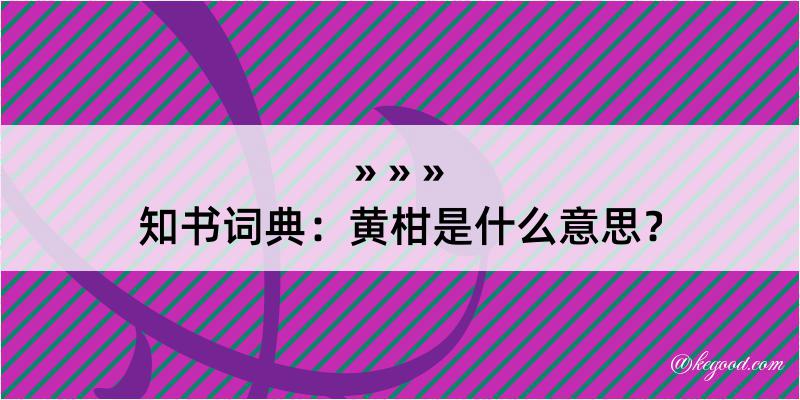 知书词典：黄柑是什么意思？