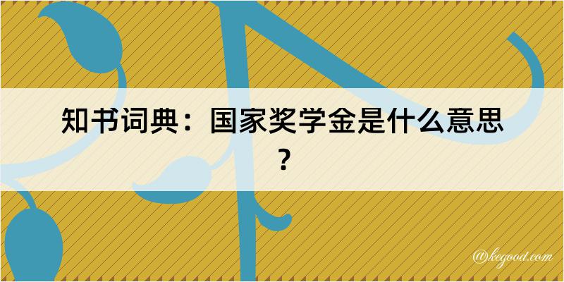 知书词典：国家奖学金是什么意思？