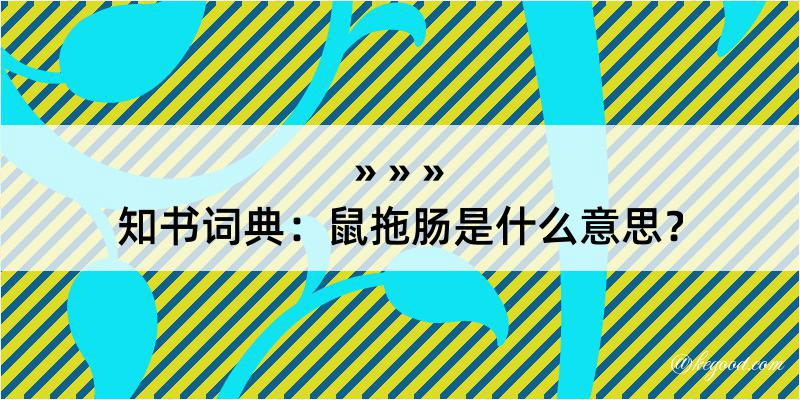 知书词典：鼠拖肠是什么意思？