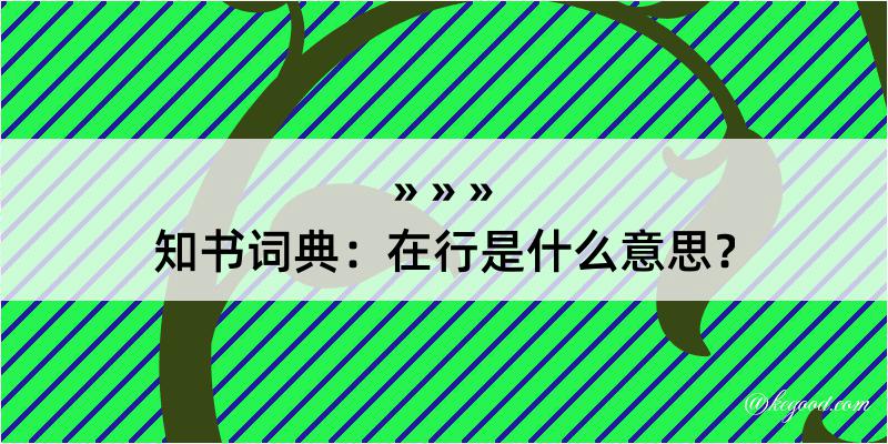 知书词典：在行是什么意思？