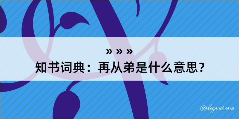 知书词典：再从弟是什么意思？