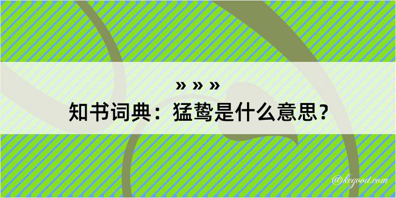 知书词典：猛鸷是什么意思？