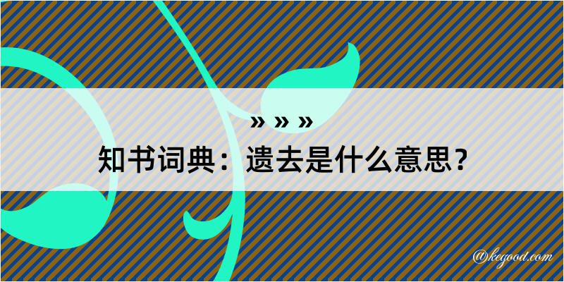 知书词典：遗去是什么意思？