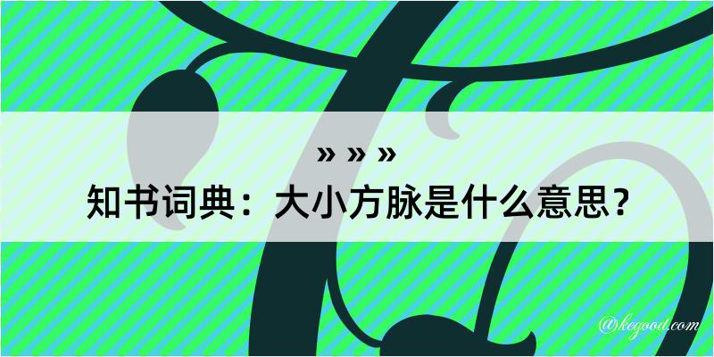 知书词典：大小方脉是什么意思？